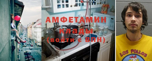 ПСИЛОЦИБИНОВЫЕ ГРИБЫ Верея