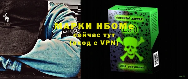 ПСИЛОЦИБИНОВЫЕ ГРИБЫ Верея
