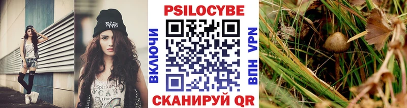 Галлюциногенные грибы Cubensis Красково