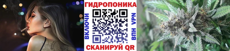 Конопля семена  продажа наркотиков  Красково 